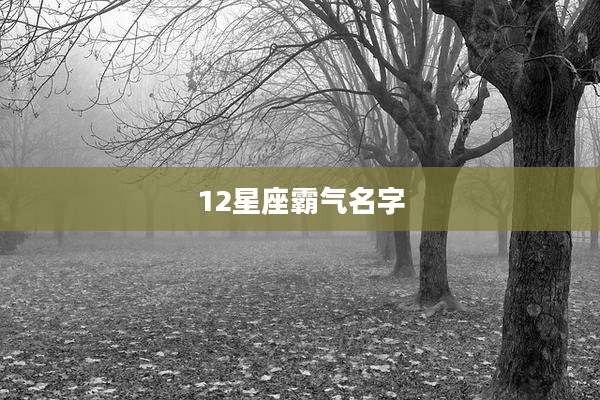 12星座霸气名字