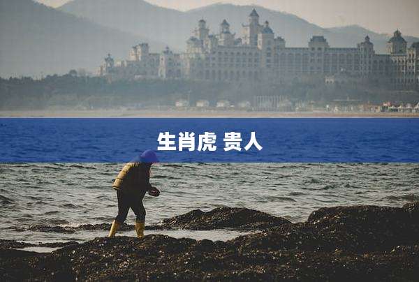 生肖虎 贵人