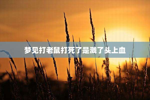 梦见打老鼠打死了是溅了头上血