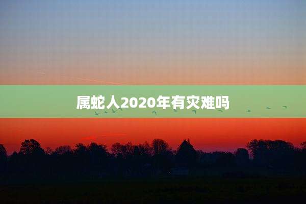 属蛇人2020年有灾难吗