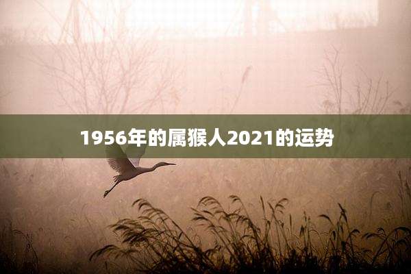 1956年的属猴人2021的运势