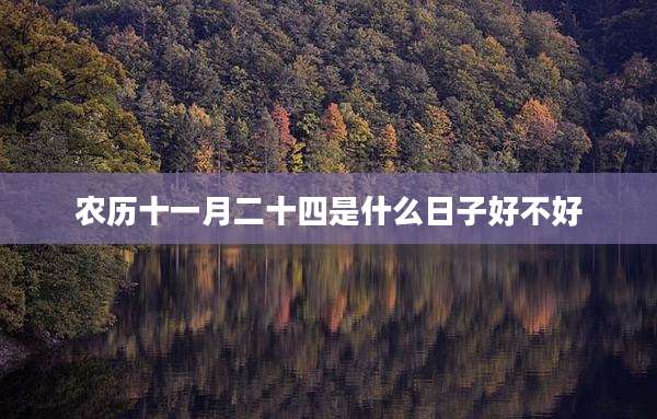 农历十一月二十四是什么日子好不好