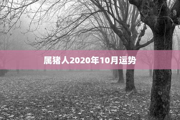 属猪人2020年10月运势