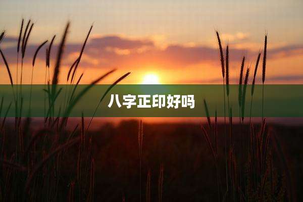 八字正印好吗