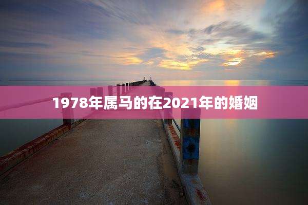 1978年属马的在2021年的婚姻