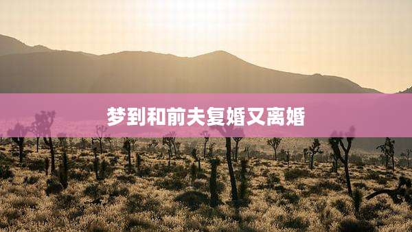 梦到和前夫复婚又离婚