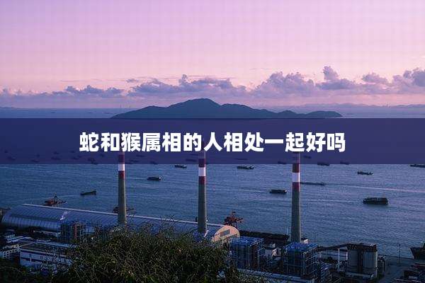 蛇和猴属相的人相处一起好吗
