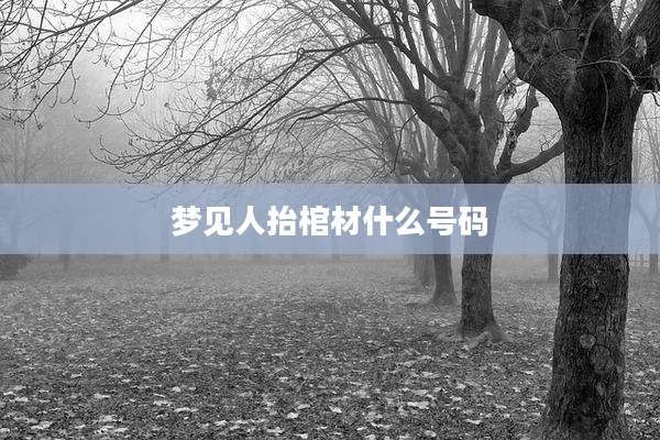 梦见人抬棺材什么号码