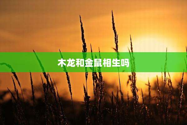 木龙和金鼠相生吗