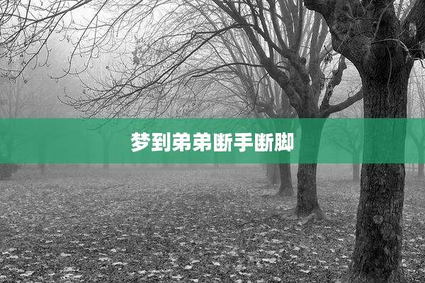 梦到弟弟断手断脚