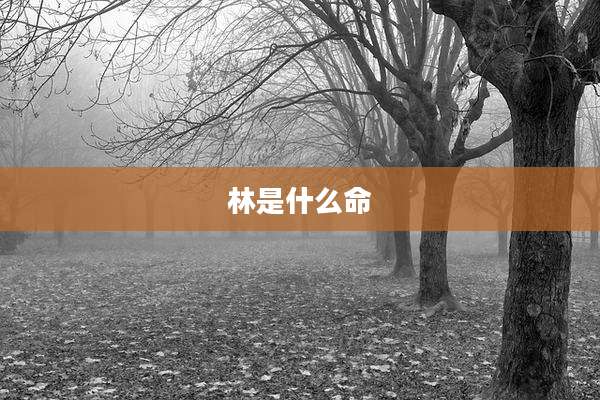 林是什么命