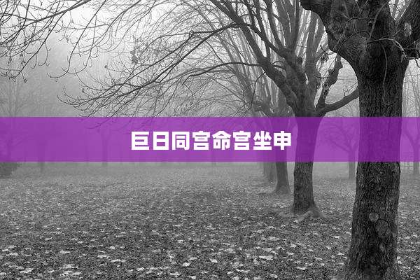 巨日同宫命宫坐申