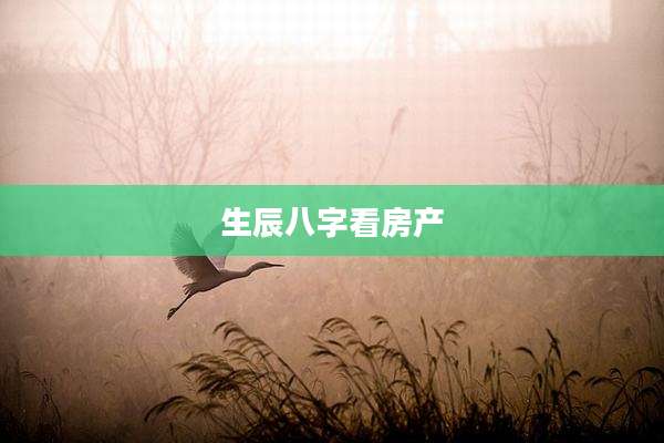 生辰八字看房产