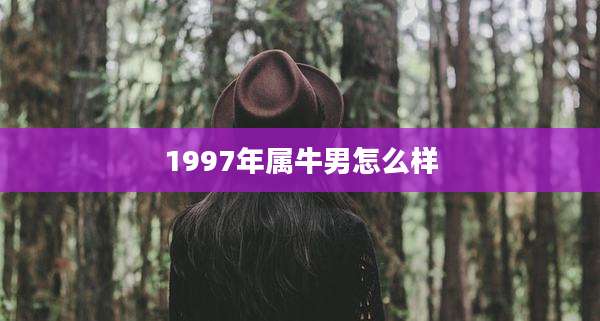 1997年属牛男怎么样