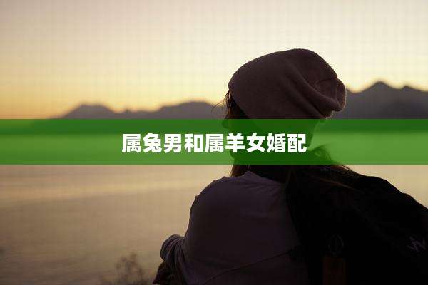 属兔男和属羊女婚配