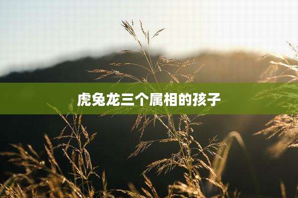 虎兔龙三个属相的孩子