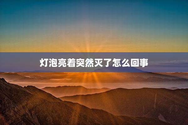 灯泡亮着突然灭了怎么回事