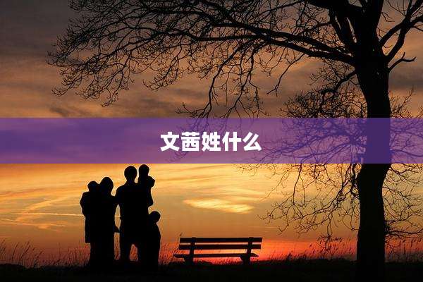 文茜姓什么