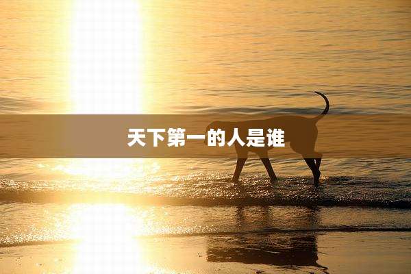 天下第一的人是谁