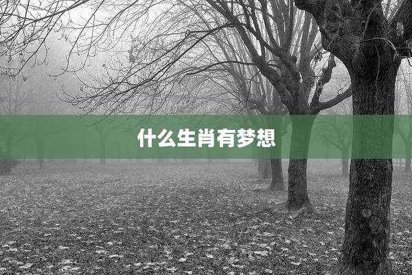 什么生肖有梦想