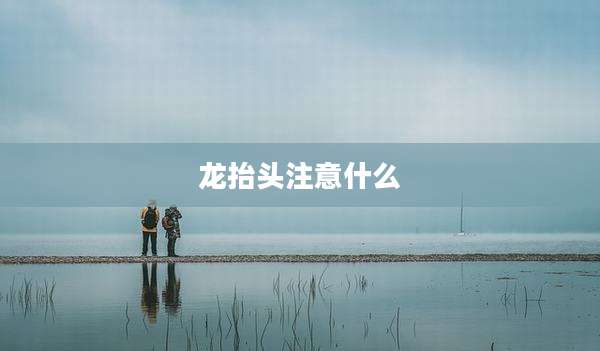 龙抬头注意什么