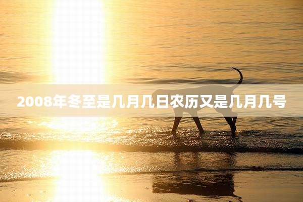 2008年冬至是几月几日农历又是几月几号