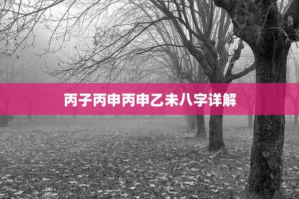 丙子丙申丙申乙未八字详解
