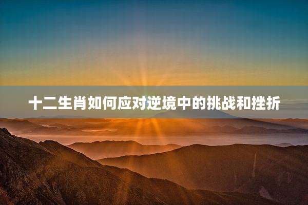 十二生肖如何应对逆境中的挑战和挫折