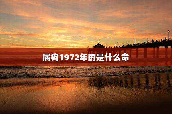 属狗1972年的是什么命