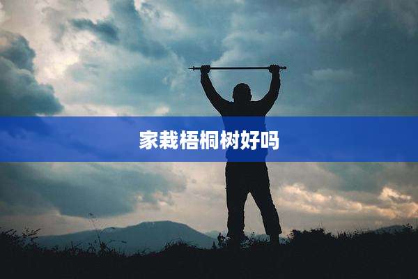 家栽梧桐树好吗