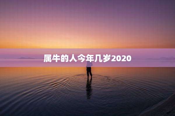 属牛的人今年几岁2020