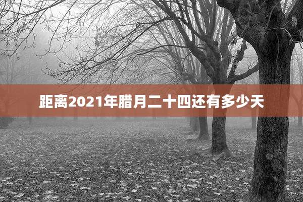 距离2021年腊月二十四还有多少天