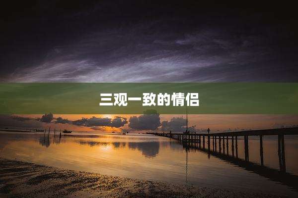三观一致的情侣