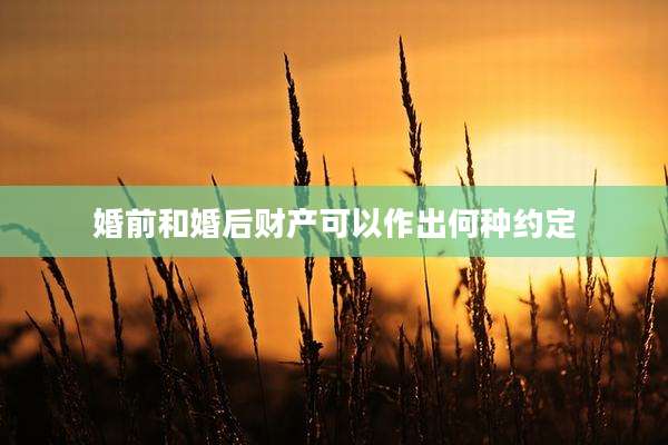 婚前和婚后财产可以作出何种约定