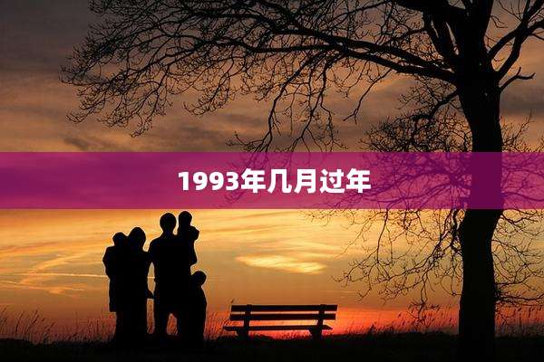 1993年几月过年