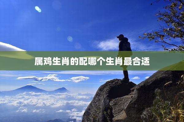 属鸡生肖的配哪个生肖最合适