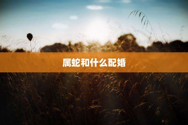 属蛇和什么配婚