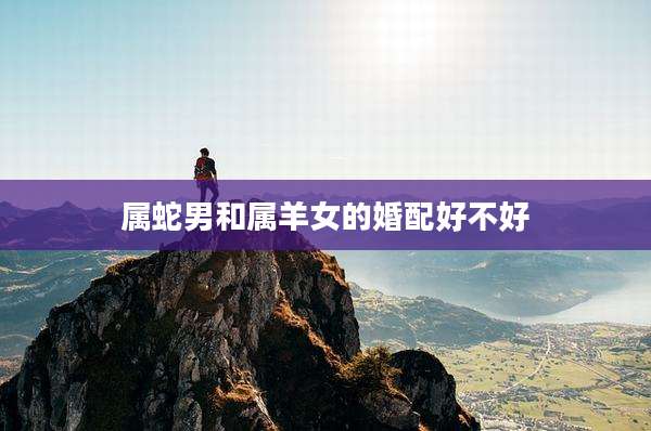属蛇男和属羊女的婚配好不好