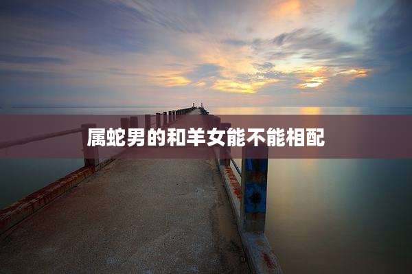属蛇男的和羊女能不能相配