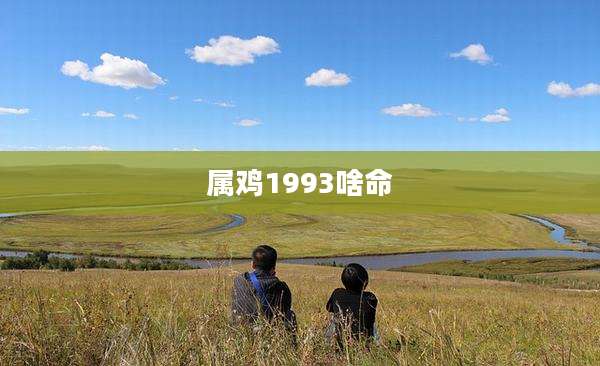 属鸡1993啥命