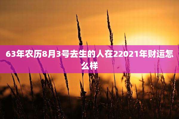 63年农历8月3号去生的人在22021年财运怎么样