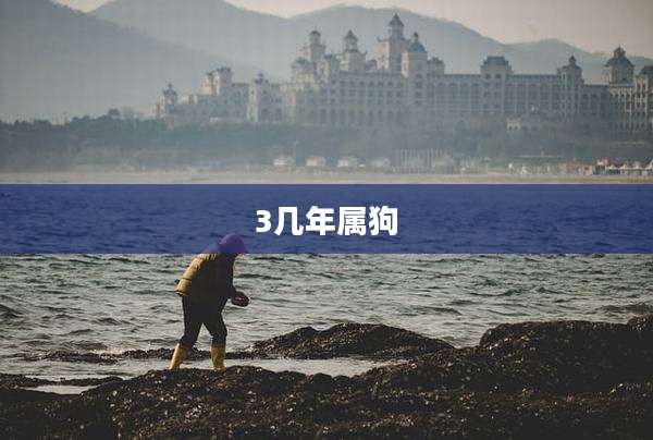 3几年属狗