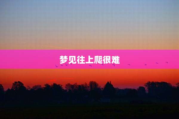 梦见往上爬很难