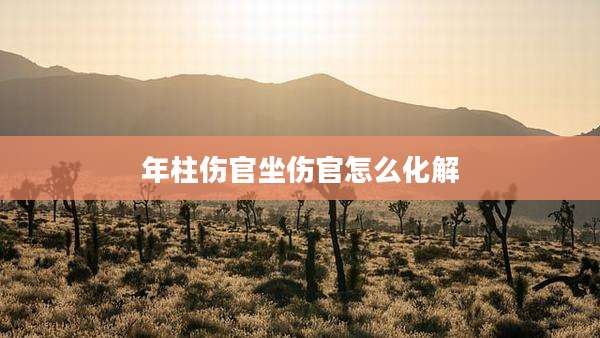 年柱伤官坐伤官怎么化解