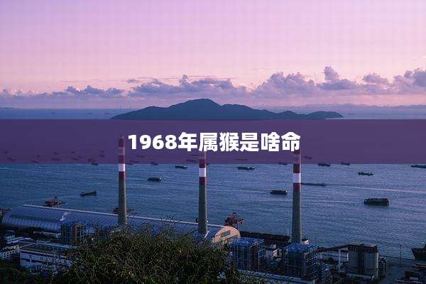 1968年属猴是啥命