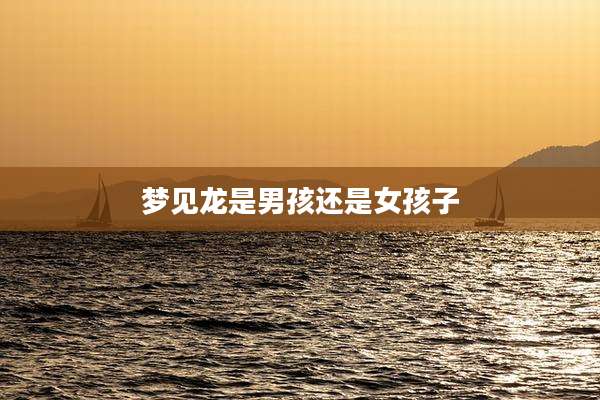 梦见龙是男孩还是女孩子