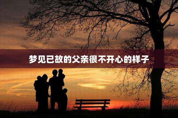梦见已故的父亲很不开心的样子