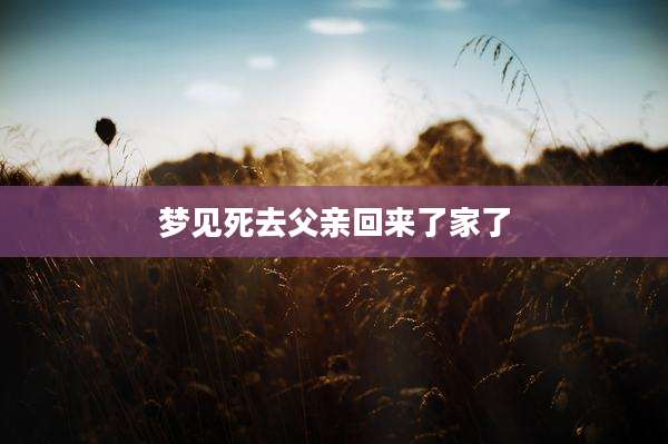 梦见死去父亲回来了家了
