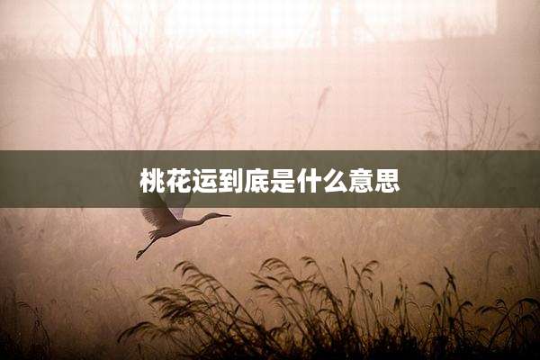 桃花运到底是什么意思