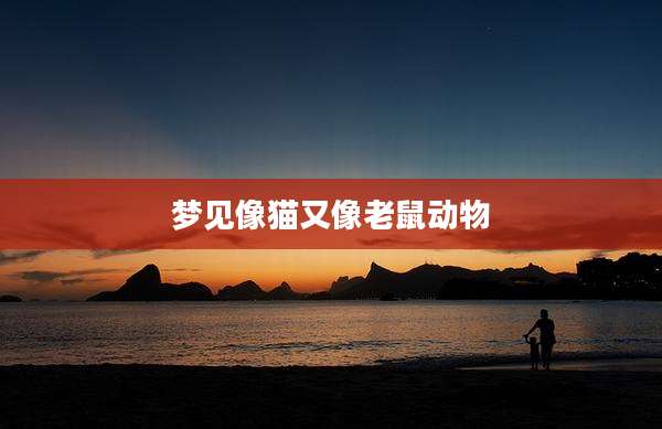 梦见像猫又像老鼠动物